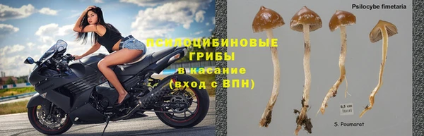 ГАЛЛЮЦИНОГЕННЫЕ ГРИБЫ Покровск