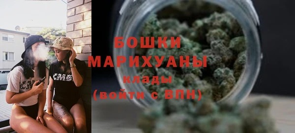 ГАЛЛЮЦИНОГЕННЫЕ ГРИБЫ Покровск
