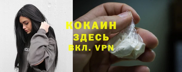 ГАЛЛЮЦИНОГЕННЫЕ ГРИБЫ Покровск
