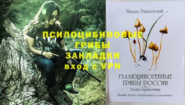 мдпв Котовск