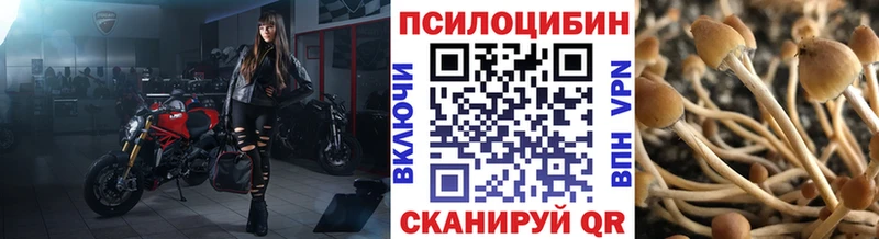 Псилоцибиновые грибы Cubensis  Алдан 